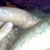 dicky20v