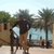 guus_13