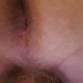 Donnervogel1
